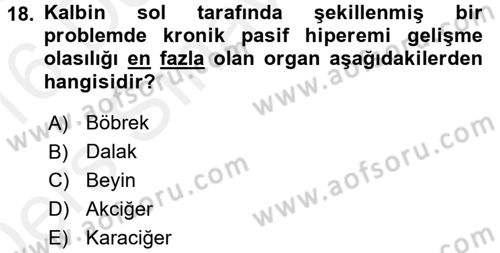 Temel Veteriner Patoloji Dersi 2015 - 2016 Yılı Tek Ders Sınav Soruları 18. Soru