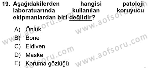 Temel Veteriner Patoloji Dersi 2015 - 2016 Yılı Tek Ders Sınav Soruları 19. Soru