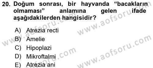 Temel Veteriner Patoloji Dersi 2015 - 2016 Yılı Tek Ders Sınav Soruları 20. Soru