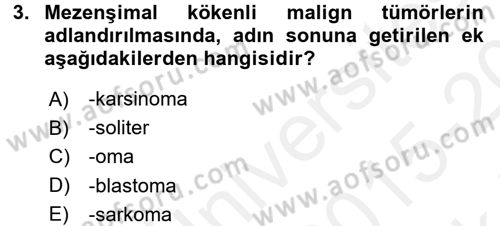 Temel Veteriner Patoloji Dersi 2015 - 2016 Yılı Tek Ders Sınav Soruları 3. Soru
