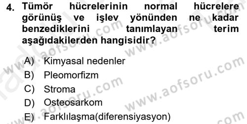 Temel Veteriner Patoloji Dersi 2015 - 2016 Yılı Tek Ders Sınav Soruları 4. Soru