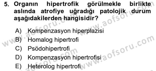 Temel Veteriner Patoloji Dersi 2015 - 2016 Yılı Tek Ders Sınav Soruları 5. Soru