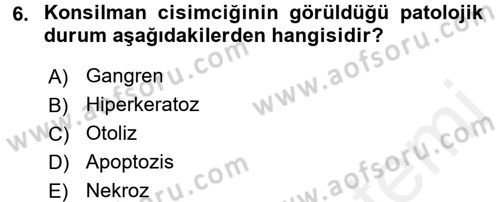 Temel Veteriner Patoloji Dersi 2015 - 2016 Yılı Tek Ders Sınav Soruları 6. Soru