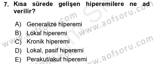 Temel Veteriner Patoloji Dersi 2015 - 2016 Yılı Tek Ders Sınav Soruları 7. Soru
