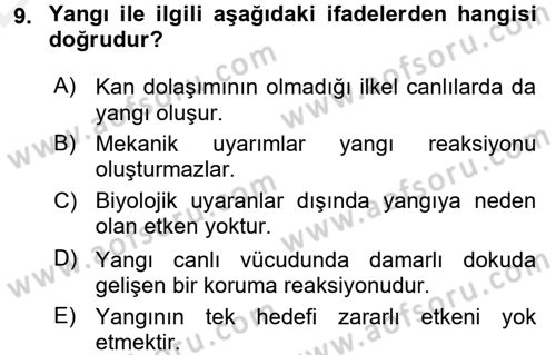 Temel Veteriner Patoloji Dersi 2015 - 2016 Yılı Tek Ders Sınav Soruları 9. Soru