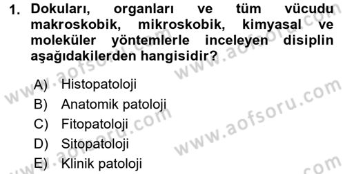 Temel Veteriner Patoloji Dersi 2016 - 2017 Yılı 3 Ders Sınav Soruları 1. Soru