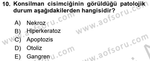 Temel Veteriner Patoloji Dersi 2016 - 2017 Yılı 3 Ders Sınav Soruları 10. Soru