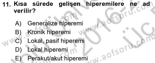 Temel Veteriner Patoloji Dersi 2016 - 2017 Yılı 3 Ders Sınav Soruları 11. Soru