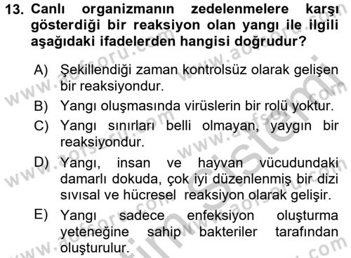 Temel Veteriner Patoloji Dersi 2016 - 2017 Yılı 3 Ders Sınav Soruları 13. Soru