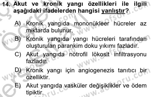 Temel Veteriner Patoloji Dersi 2016 - 2017 Yılı 3 Ders Sınav Soruları 14. Soru