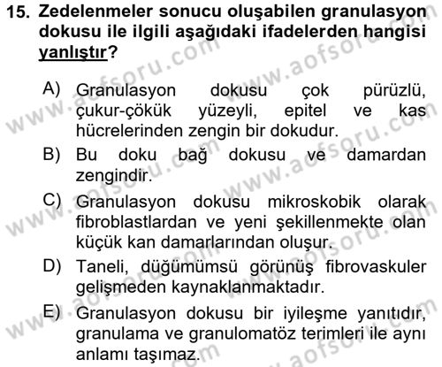 Temel Veteriner Patoloji Dersi 2016 - 2017 Yılı 3 Ders Sınav Soruları 15. Soru