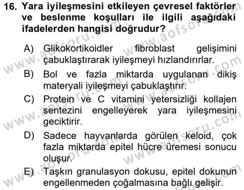 Temel Veteriner Patoloji Dersi 2016 - 2017 Yılı 3 Ders Sınav Soruları 16. Soru