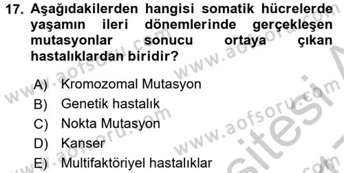 Temel Veteriner Patoloji Dersi 2016 - 2017 Yılı 3 Ders Sınav Soruları 17. Soru