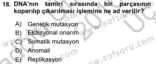 Temel Veteriner Patoloji Dersi 2016 - 2017 Yılı 3 Ders Sınav Soruları 18. Soru