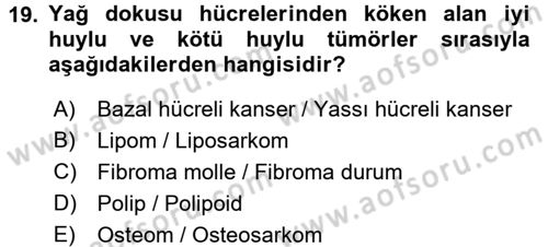 Temel Veteriner Patoloji Dersi 2016 - 2017 Yılı 3 Ders Sınav Soruları 19. Soru