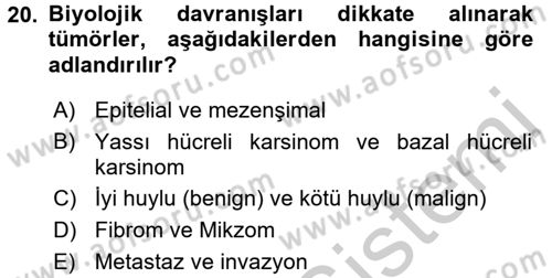 Temel Veteriner Patoloji Dersi 2016 - 2017 Yılı 3 Ders Sınav Soruları 20. Soru