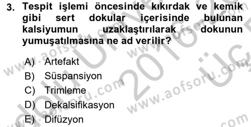 Temel Veteriner Patoloji Dersi 2016 - 2017 Yılı 3 Ders Sınav Soruları 3. Soru