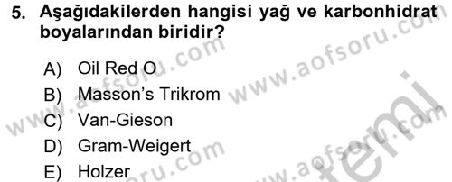 Temel Veteriner Patoloji Dersi 2016 - 2017 Yılı 3 Ders Sınav Soruları 5. Soru