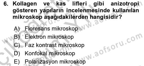 Temel Veteriner Patoloji Dersi 2016 - 2017 Yılı 3 Ders Sınav Soruları 6. Soru