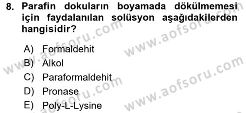 Temel Veteriner Patoloji Dersi 2016 - 2017 Yılı 3 Ders Sınav Soruları 8. Soru