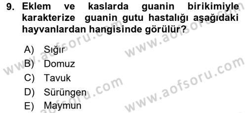 Temel Veteriner Patoloji Dersi 2016 - 2017 Yılı 3 Ders Sınav Soruları 9. Soru