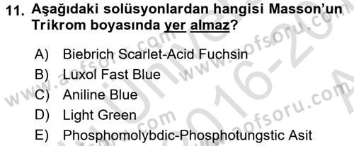 Temel Veteriner Patoloji Dersi 2016 - 2017 Yılı (Vize) Ara Sınav Soruları 11. Soru