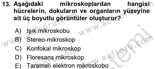 Temel Veteriner Patoloji Dersi Ara Sınavı Deneme Sınav Soruları 13. Soru