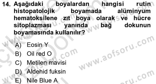 Temel Veteriner Patoloji Dersi 2016 - 2017 Yılı (Vize) Ara Sınav Soruları 14. Soru