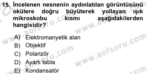 Temel Veteriner Patoloji Dersi 2016 - 2017 Yılı (Vize) Ara Sınav Soruları 15. Soru