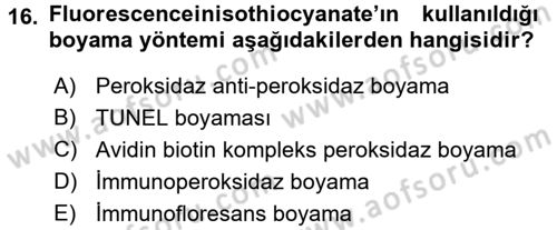 Temel Veteriner Patoloji Dersi 2016 - 2017 Yılı (Vize) Ara Sınav Soruları 16. Soru