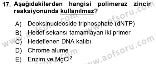 Temel Veteriner Patoloji Dersi 2016 - 2017 Yılı (Vize) Ara Sınav Soruları 17. Soru