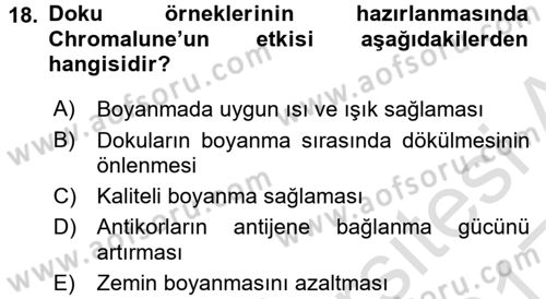 Temel Veteriner Patoloji Dersi 2016 - 2017 Yılı (Vize) Ara Sınav Soruları 18. Soru