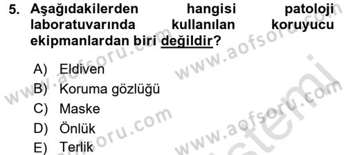 Temel Veteriner Patoloji Dersi 2016 - 2017 Yılı (Vize) Ara Sınav Soruları 5. Soru