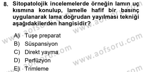 Temel Veteriner Patoloji Dersi 2016 - 2017 Yılı (Vize) Ara Sınav Soruları 8. Soru