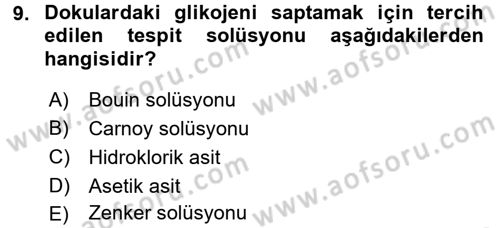 Temel Veteriner Patoloji Dersi Ara Sınavı Deneme Sınav Soruları 9. Soru