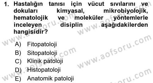 Temel Veteriner Patoloji Dersi 2016 - 2017 Yılı (Final) Dönem Sonu Sınav Soruları 1. Soru