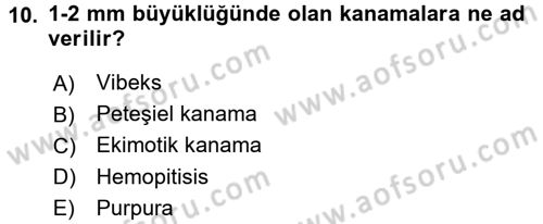 Temel Veteriner Patoloji Dersi 2016 - 2017 Yılı (Final) Dönem Sonu Sınav Soruları 10. Soru