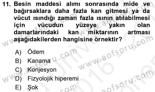 Temel Veteriner Patoloji Dersi 2016 - 2017 Yılı (Final) Dönem Sonu Sınav Soruları 11. Soru