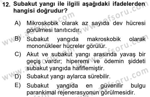 Temel Veteriner Patoloji Dersi 2016 - 2017 Yılı (Final) Dönem Sonu Sınav Soruları 12. Soru