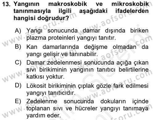 Temel Veteriner Patoloji Dersi 2016 - 2017 Yılı (Final) Dönem Sonu Sınav Soruları 13. Soru