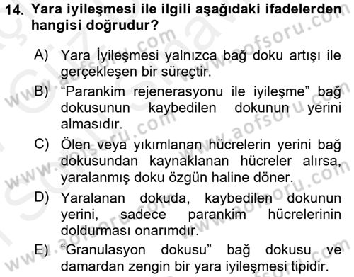 Temel Veteriner Patoloji Dersi 2016 - 2017 Yılı (Final) Dönem Sonu Sınav Soruları 14. Soru