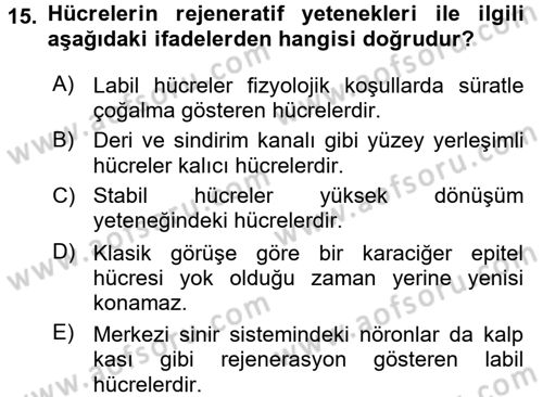 Temel Veteriner Patoloji Dersi 2016 - 2017 Yılı (Final) Dönem Sonu Sınav Soruları 15. Soru
