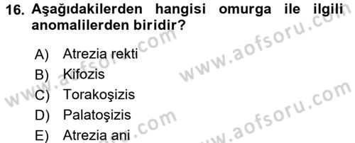 Temel Veteriner Patoloji Dersi 2016 - 2017 Yılı (Final) Dönem Sonu Sınav Soruları 16. Soru