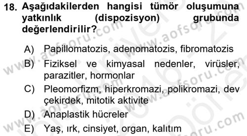 Temel Veteriner Patoloji Dersi 2016 - 2017 Yılı (Final) Dönem Sonu Sınav Soruları 18. Soru