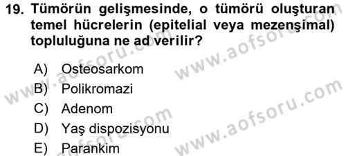 Temel Veteriner Patoloji Dersi 2016 - 2017 Yılı (Final) Dönem Sonu Sınav Soruları 19. Soru