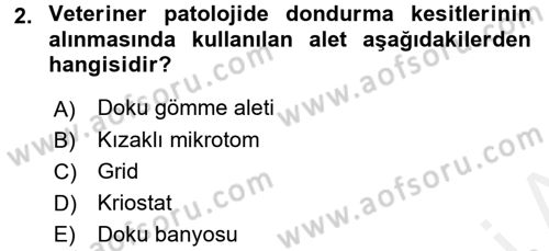 Temel Veteriner Patoloji Dersi 2016 - 2017 Yılı (Final) Dönem Sonu Sınav Soruları 2. Soru