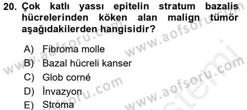 Temel Veteriner Patoloji Dersi 2016 - 2017 Yılı (Final) Dönem Sonu Sınav Soruları 20. Soru