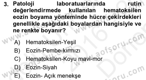 Temel Veteriner Patoloji Dersi 2016 - 2017 Yılı (Final) Dönem Sonu Sınav Soruları 3. Soru