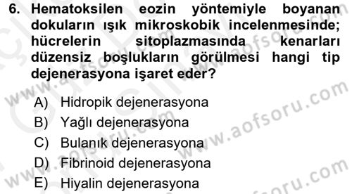 Temel Veteriner Patoloji Dersi 2016 - 2017 Yılı (Final) Dönem Sonu Sınav Soruları 6. Soru