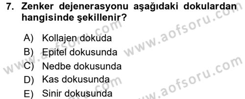 Temel Veteriner Patoloji Dersi 2016 - 2017 Yılı (Final) Dönem Sonu Sınav Soruları 7. Soru